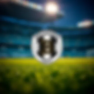 Botafogo FC Team Identity Logo of Botafogo FC symbolizing their identity