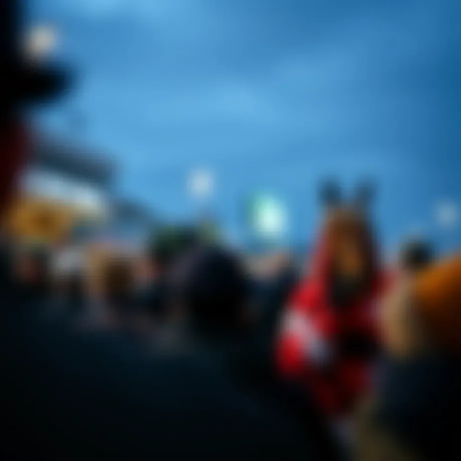 Cheltenham Festival race day excitement