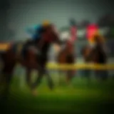 Fundamental concepts of the Kelly Criterion