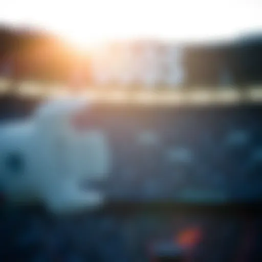 Understanding Pinnacle Odds