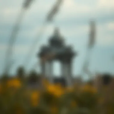 Visual representation of temple deterioration and its causes