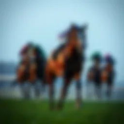 Understanding horse racing betting odds